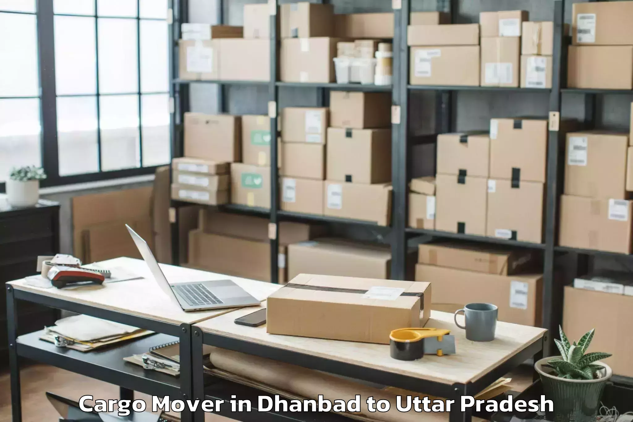 Book Dhanbad to Mauranipur Cargo Mover Online